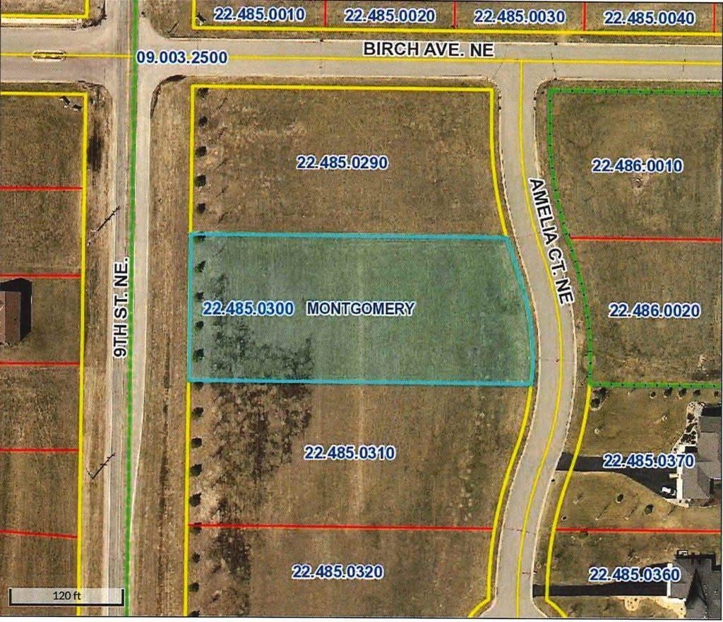 915 Amelia Ct NE, Montgomery, MN 56069 - photo 1