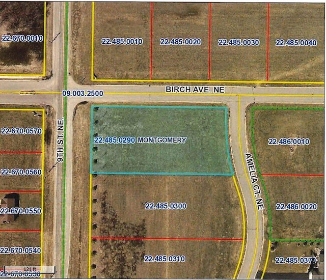 919 Amelia Ct NE, Montgomery, MN 56069