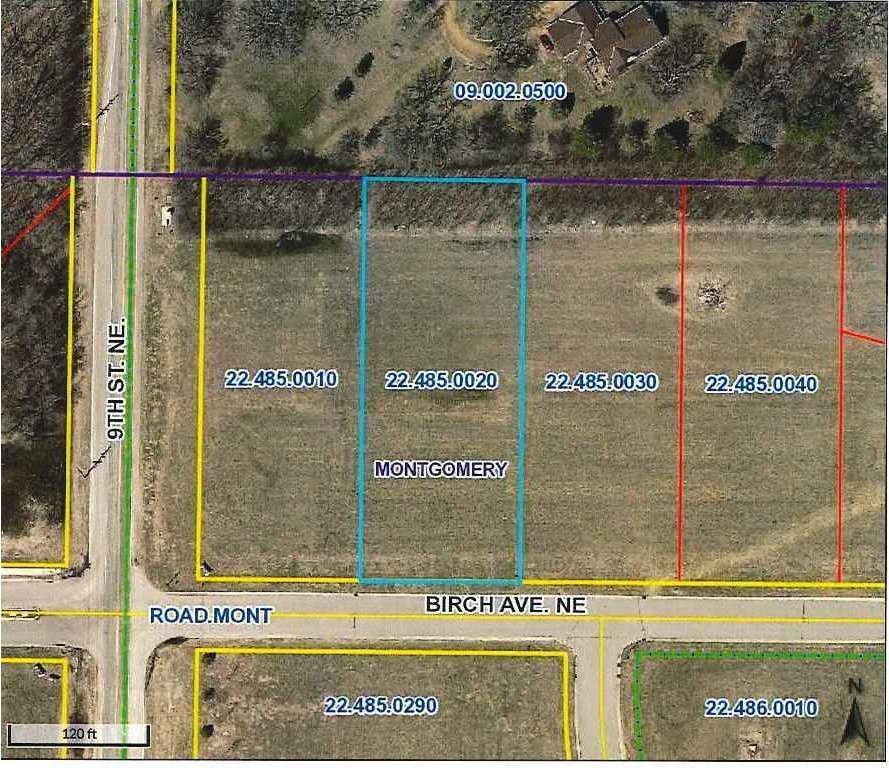 1005 Birch Ave NE, Montgomery, MN 56069 - photo 1