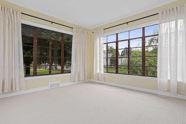 5319 38th Ave S, Minneapolis, MN 55417 - spare room featuring baseboards, carpet flooring, crown molding, and plenty of natural light