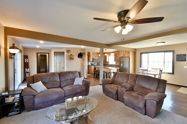 40749 Greencrest Rd, Crow River Twp, MN 56312 - living room with baseboards, a ceiling fan, and wood finished floors