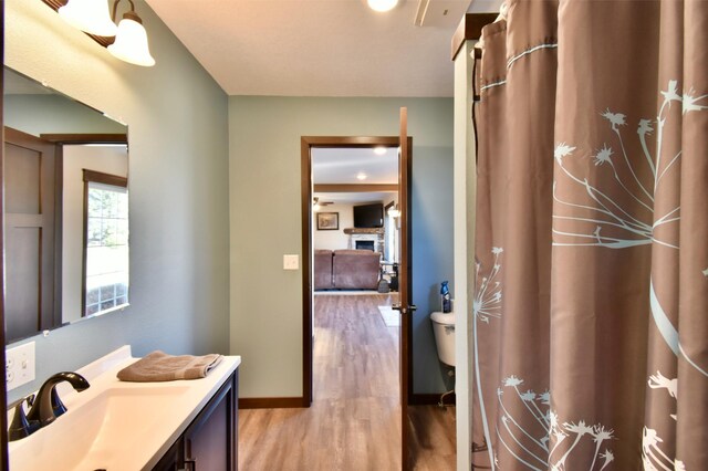 40749 Greencrest Rd, Crow River Twp, MN 56312 - bathroom with wood finished floors, toilet, vanity, a shower with curtain, and baseboards