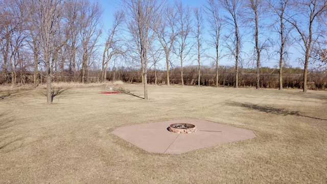 40749 Greencrest Rd, Crow River Twp, MN 56312 - view of yard with a fire pit