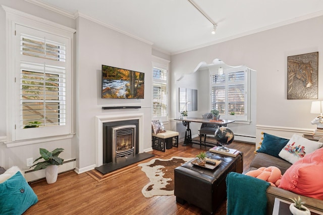 1801 Fremont Ave S Unit 101, Minneapolis, MN 55403 - living area with track lighting, wood finished floors, a glass covered fireplace, baseboard heating, and ornamental molding