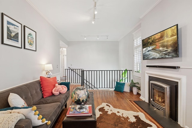 1801 Fremont Ave S Unit 101, Minneapolis, MN 55403 - living area featuring rail lighting, wood finished floors, a glass covered fireplace, and crown molding