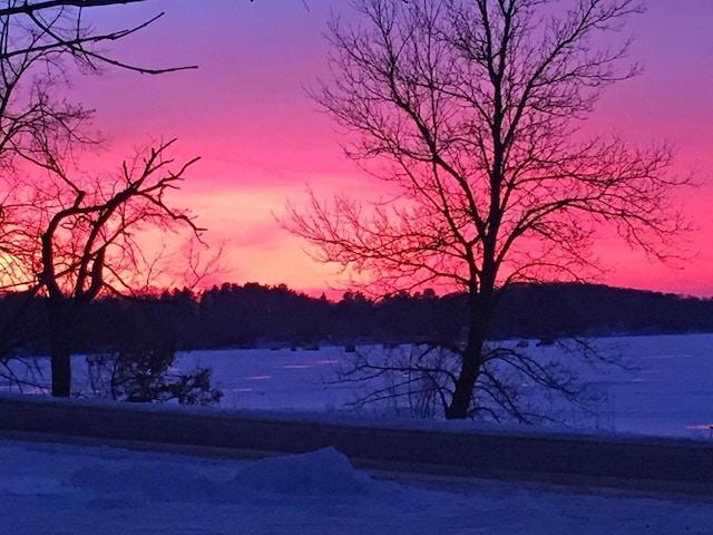 view of nature at dusk