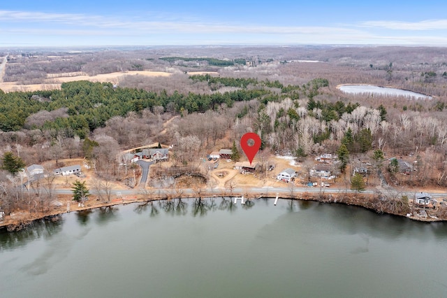 aerial view featuring a water view and a view of trees