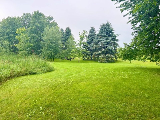 811 Lake Shore Dr, Battle Lake, MN 56515 - photo 25