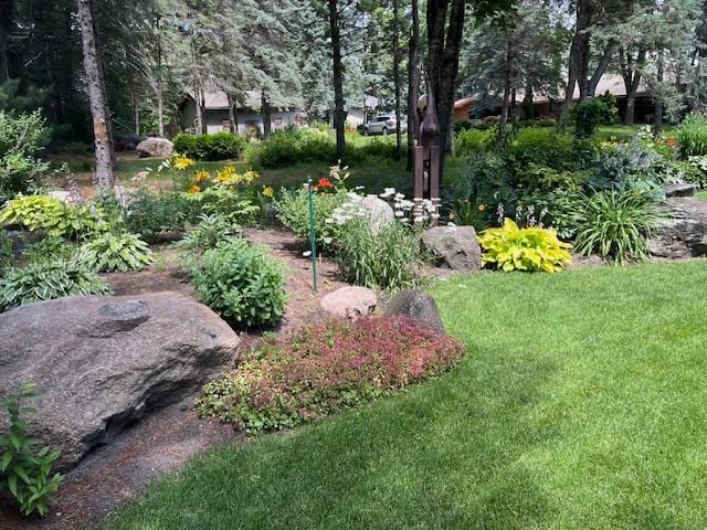 3202 Riviera Rd, Sartell, MN 56377 - view of yard