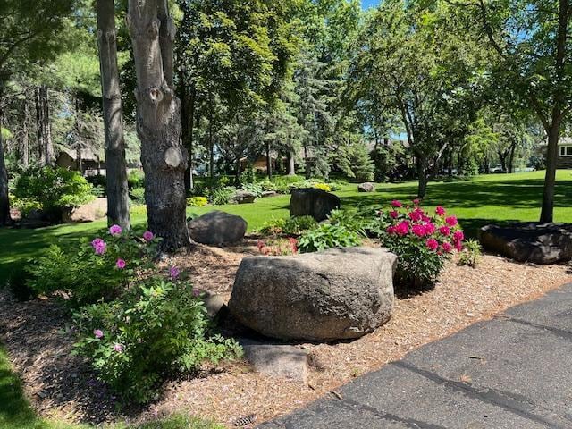 3202 Riviera Rd, Sartell, MN 56377 - view of property's community with a lawn