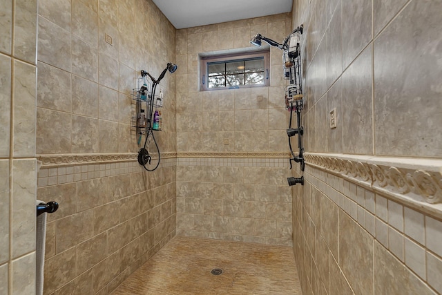 3202 Riviera Rd, Sartell, MN 56377 - bathroom with tiled shower