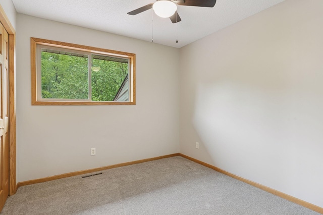 3103 185th Ln NE, East Bethel, MN 55092 - photo 34