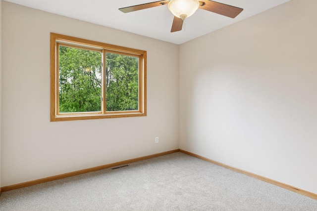 3103 185th Ln NE, East Bethel, MN 55092 - photo 35