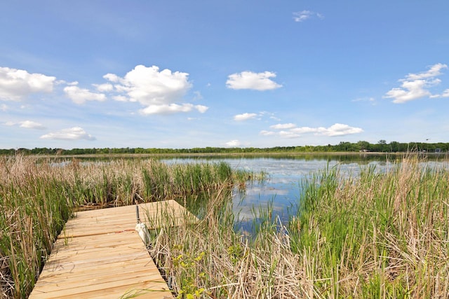 3103 185th Ln NE, East Bethel, MN 55092 - photo 51