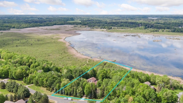 3103 185th Ln NE, East Bethel, MN 55092 - photo 1