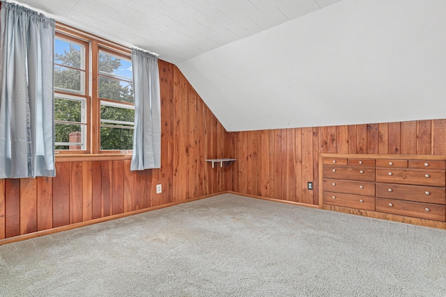 7244 12th Ave S, Richfield, MN 55423 - additional living space featuring vaulted ceiling, carpet, and wooden walls