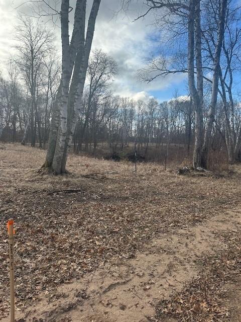 L7B1 Shady Ln, Crosslake, MN 56442