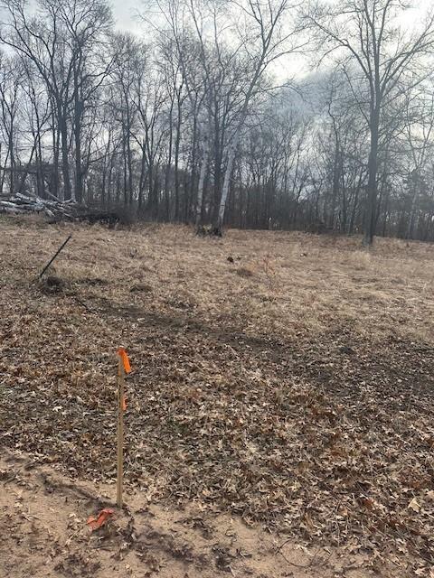 L7B1 Shady Ln, Crosslake, MN 56442