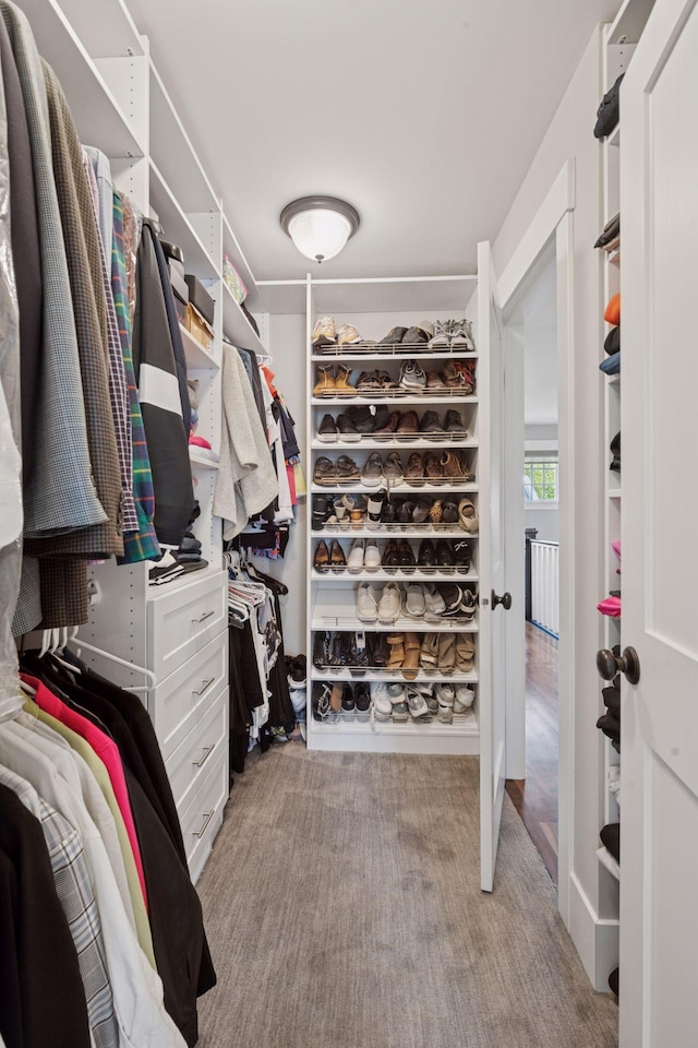 view of walk in closet