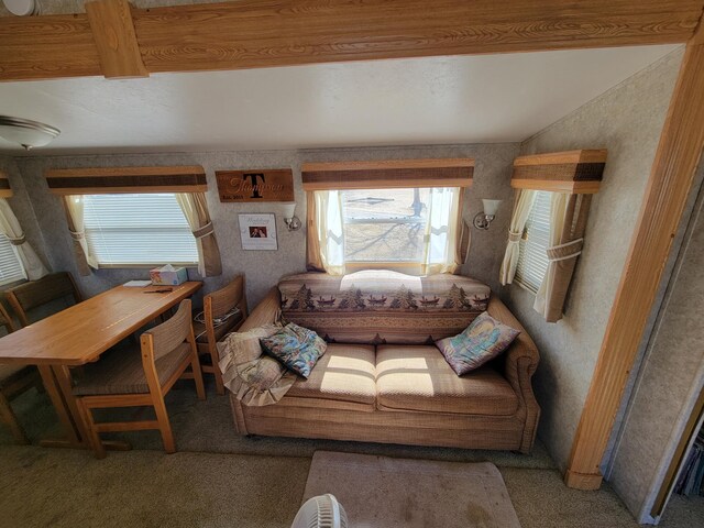 view of carpeted living area