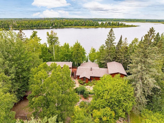 drone / aerial view with a wooded view and a water view