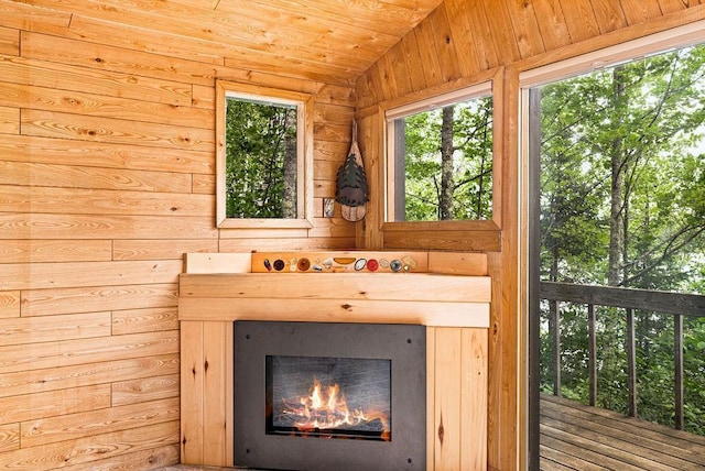 details with a glass covered fireplace and wooden walls