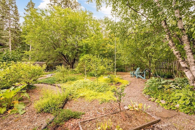view of yard featuring a garden and fence