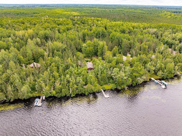 birds eye view of property with a water view and a view of trees