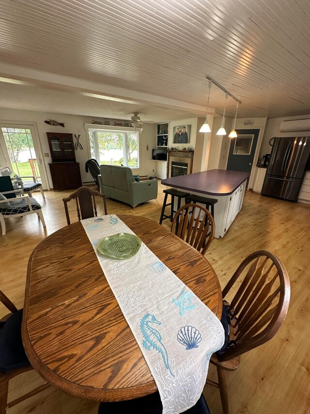 1778 Wabanica Bay Dr NW, Baudette, MN 56623 - dining room featuring a fireplace, light wood-style floors, track lighting, and a healthy amount of sunlight