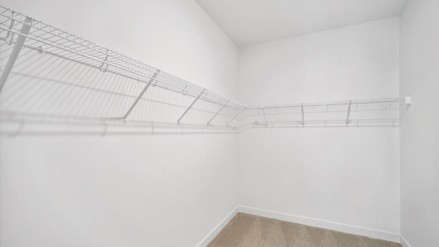 2133 Westpointe Dr, Hastings, MN 55033 - spacious closet featuring carpet
