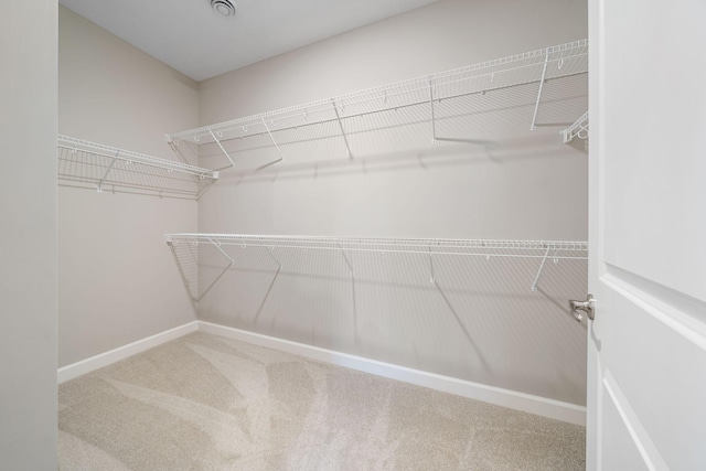 walk in closet with carpet floors