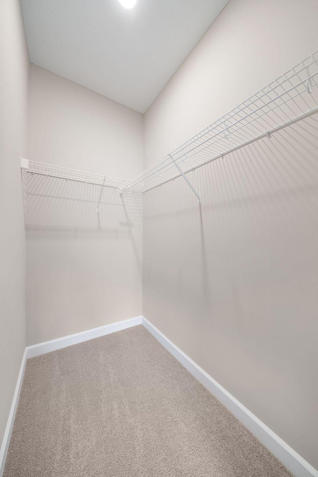 spacious closet featuring carpet flooring