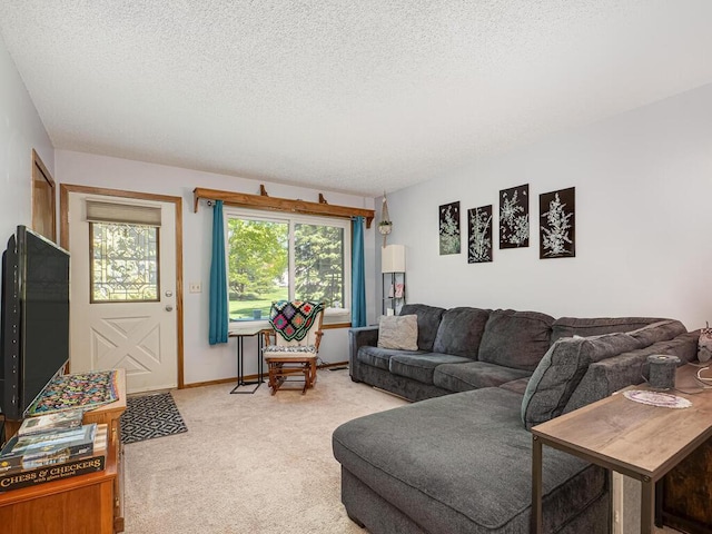 4237 Centerville Rd, Vadnais Heights, MN 55127 - living area featuring light carpet and a textured ceiling
