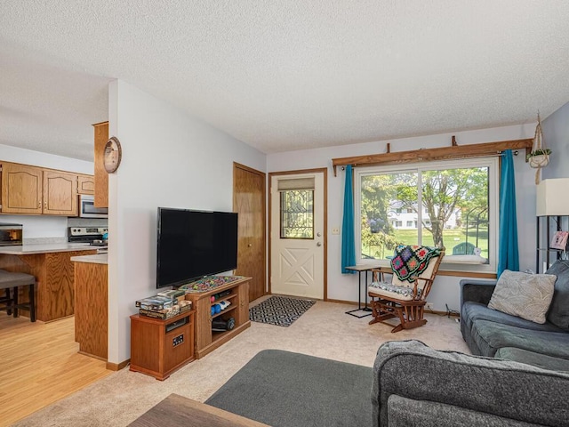 4237 Centerville Rd, Vadnais Heights, MN 55127 - living area with a textured ceiling and baseboards