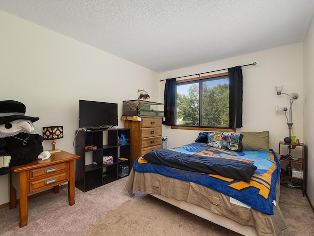 4237 Centerville Rd, Vadnais Heights, MN 55127 - carpeted bedroom featuring a textured ceiling