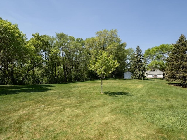 4237 Centerville Rd, Vadnais Heights, MN 55127 - view of green lawn with a storage unit and an outbuilding
