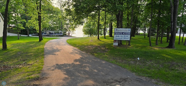 44629 Bear Trl, Lida Twp, MN 56572 - surrounding community with a lawn and driveway
