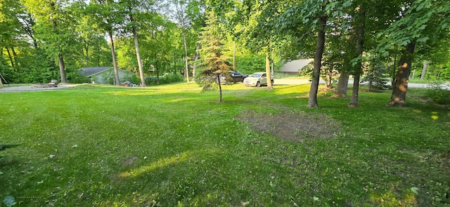 44629 Bear Trl, Lida Twp, MN 56572 - view of green lawn featuring an outdoor fire pit
