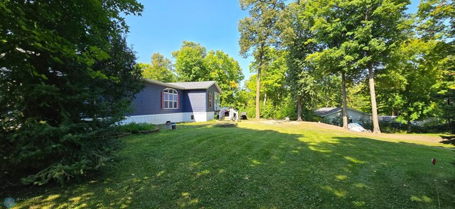 44629 Bear Trl, Lida Twp, MN 56572 - view of green lawn