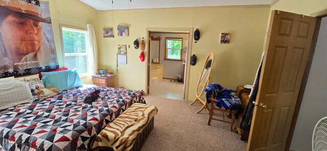 44629 Bear Trl, Lida Twp, MN 56572 - bedroom featuring multiple windows, carpet, and connected bathroom