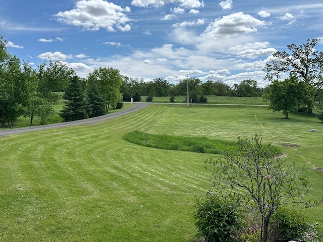 12114 260th St, Saint Cloud, MN 56301 - surrounding community featuring a lawn and view of scattered trees