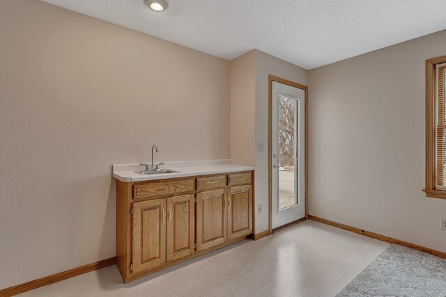 12114 260th St, Saint Cloud, MN 56301 - bar area featuring a sink, baseboards, and light floors