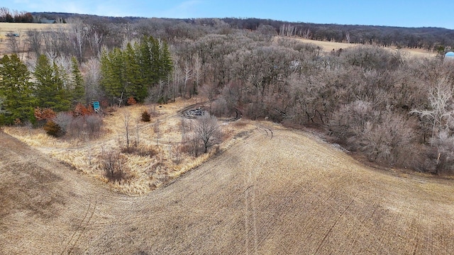 12114 260th St, Saint Cloud, MN 56301 - drone / aerial view of a forest