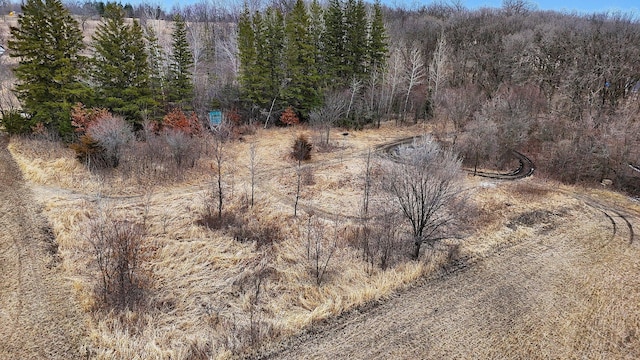 12114 260th St, Saint Cloud, MN 56301 - bird's eye view of a forest