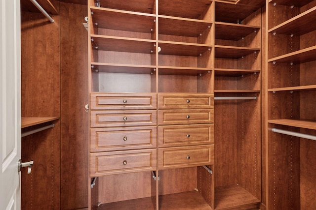 500 Grant St Unit 2707, Minneapolis, MN 55404 - view of walk in closet