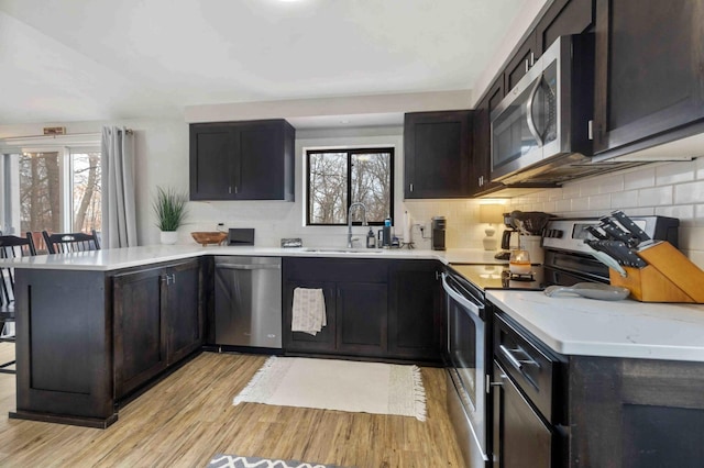 16137 Ahrens Hill Rd, Brainerd, MN 56401 - kitchen featuring stainless steel appliances, a sink, a peninsula, and light wood finished floors