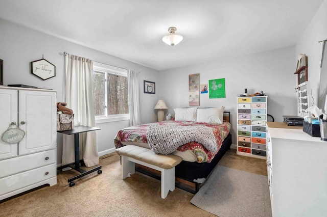 16137 Ahrens Hill Rd, Brainerd, MN 56401 - view of carpeted bedroom