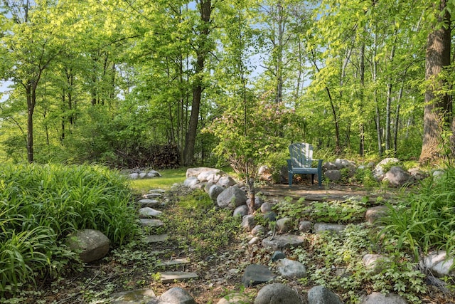 16137 Ahrens Hill Rd, Brainerd, MN 56401 - view of yard