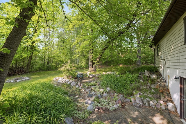 16137 Ahrens Hill Rd, Brainerd, MN 56401 - view of yard