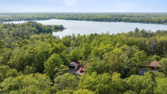 16137 Ahrens Hill Rd, Brainerd, MN 56401 - bird's eye view of a heavily wooded area and a nearby body of water